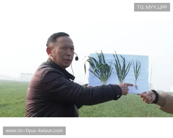 ✅体育直播🏆世界杯直播🏀NBA直播⚽- 湖南祁阳农技专家田间地头指导秋冬种- sports